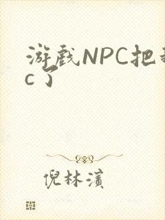 游戏NPC把我c了