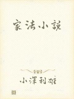 家法小说