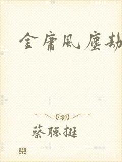 金庸风尘劫