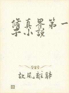 修真界第一病秧子小说