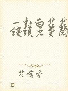 一对白花花的大馒头免费阅读