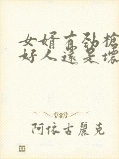 女婿有劲枪枪是好人还是坏人