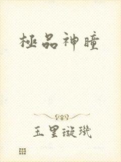 极品神瞳