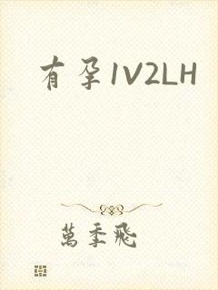 有孕1V2LH