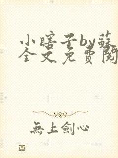 小瞎子by苏软全文免费阅读