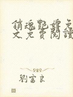 销魂艳婢免费全文免费阅读