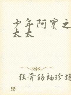 少年阿宾之房东太太