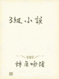 3级小说