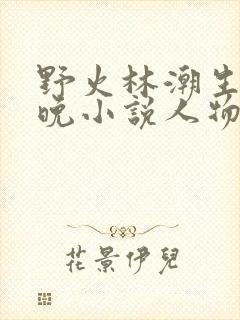 野火林潮生林晚晚小说人物野火