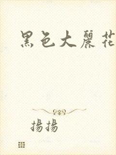 黑色大丽花图片