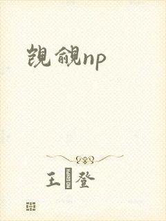 觊觎np