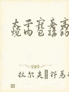 太子宠妾高肉红烧肉包讲的什么