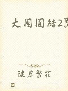 大团圆结2阅读