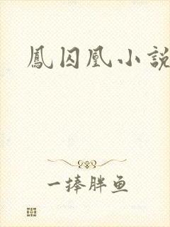 凤囚凰小说