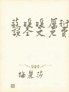 苏暖暖厉衍琛小说全文免费阅读