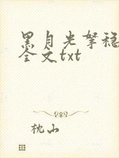 黑月光拿稳小说全文txt