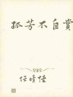 孤芳不自赏小说