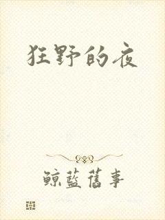 狂野的夜