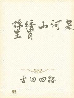 锦绣山河是什么生肖