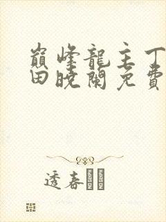 巅峰龙主丁长顺田晓兰免费阅读
