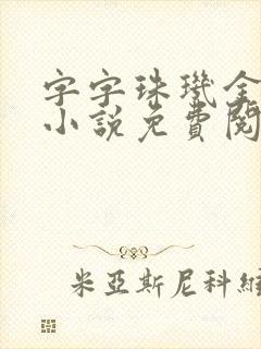 字字珠玑金银花小说免费阅读