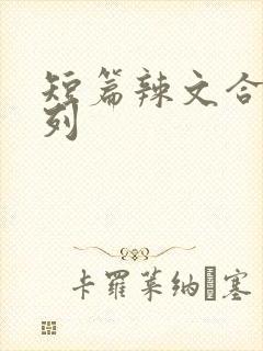 短篇辣文合集系列