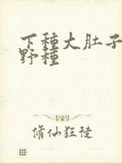 下种大肚子怀孕野种