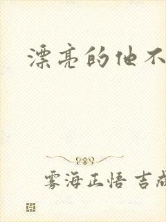 漂亮的他不说话