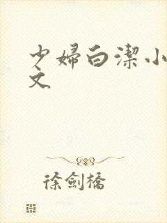 少妇白洁小说全文