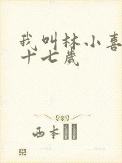 我叫林小喜今年十七岁