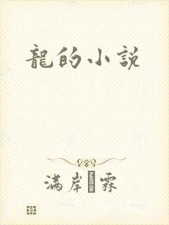 龙的小说