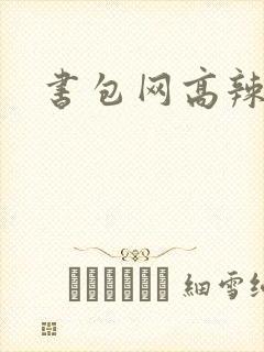书包网高辣文