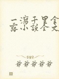 一泻千里金银花露小说全文免费阅读