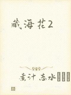 藏海花2