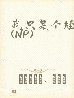 我只是个经纪人(NP)