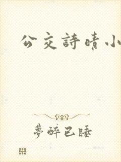 公交诗晴小说