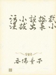 污小说总裁整夜没拔出来小说在线阅读