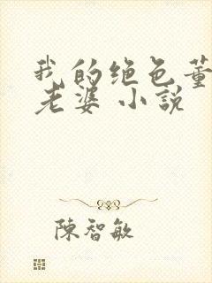 我的绝色董事长老婆 小说