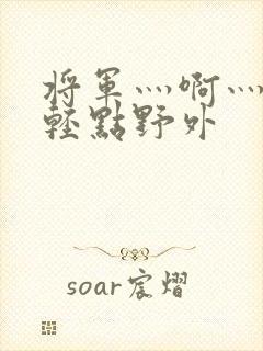 将军灬啊灬啊灬轻点野外