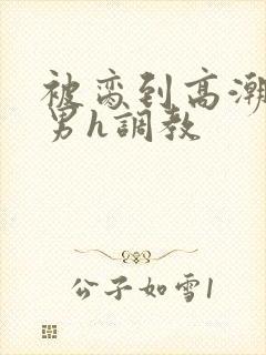 被脔到高潮的直男h调教