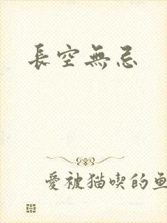 长空无忌