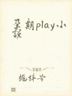 孕期play小说