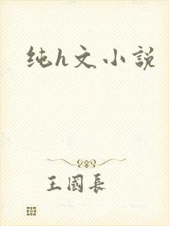 纯h文小说