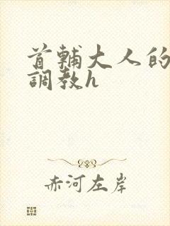 首辅大人的花式调教h