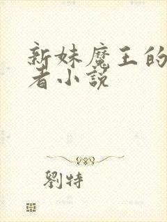新妹魔王的契约者小说