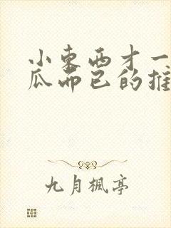 小东西才一根黄瓜而已的推荐书