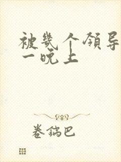 被几个领导玩弄一晚上