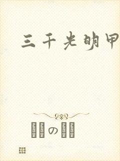 三千光明甲