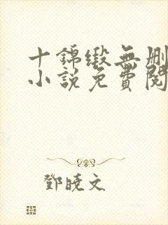 十锦缎无删原著小说免费阅读