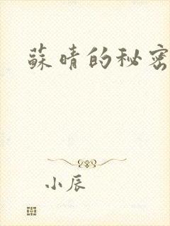 苏晴的秘密小说